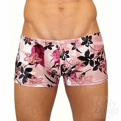 ���������� 1:  ������� �����-����� � ������� ��������� �������