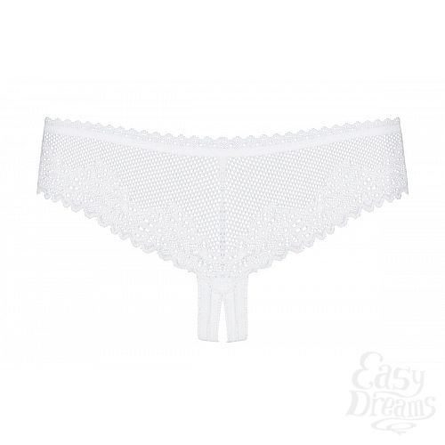 ���������� 4  �������� �������-�������  Alabastra