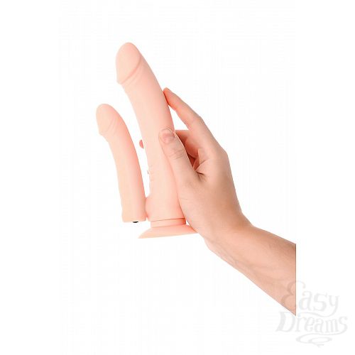 ���������� 7  ������� ������������� � ��������� � ������� ���������� - 19 ��.