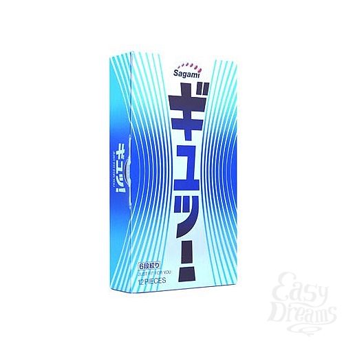  1:   Sagami  12 c   6 Fit V