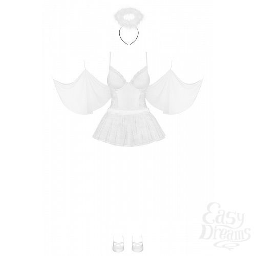 ���������� 4  ������� ��������-����������� Swangel: �����, �������� � ����������� ����