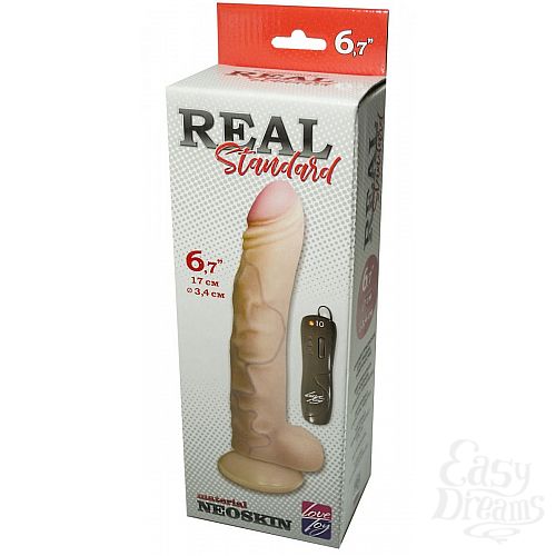 ���������� 2  �������� REAL Standard � ��������� - 17 ��.