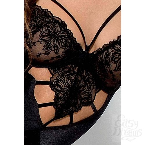 ���������� 3  ���������� ���� Haya � ������� ��������� ������