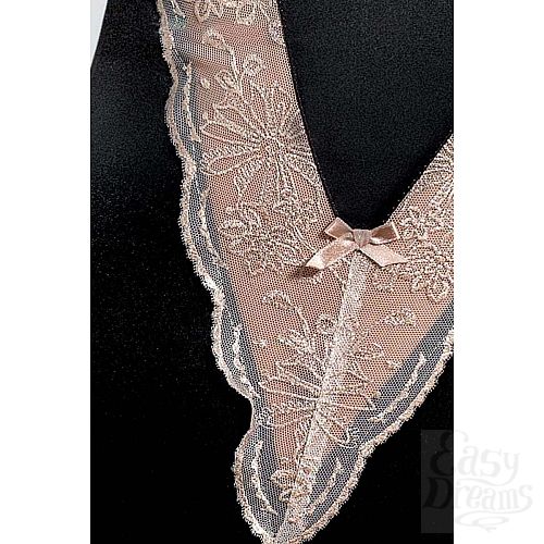 ���������� 6  ���� Lotus � V-�������� ������� ��������