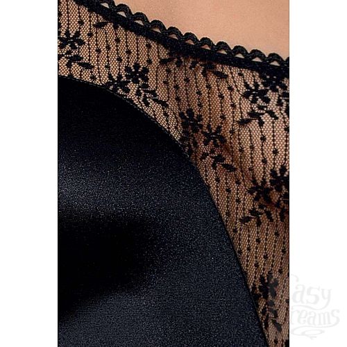 ���������� 3  �������������� ���� Petra � ������� ������� �����