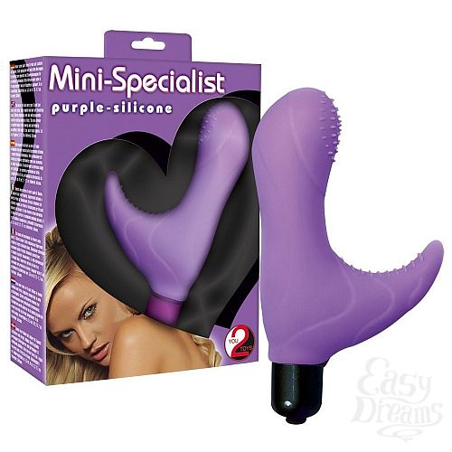 ���������� 1:  ���������� ����-������������� Mini-Specialist