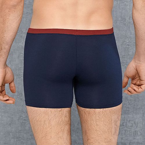 ���������� 2  ������� �� ��������-��������� �����