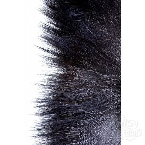  6       -