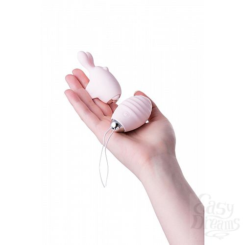  20  -  VITA:      