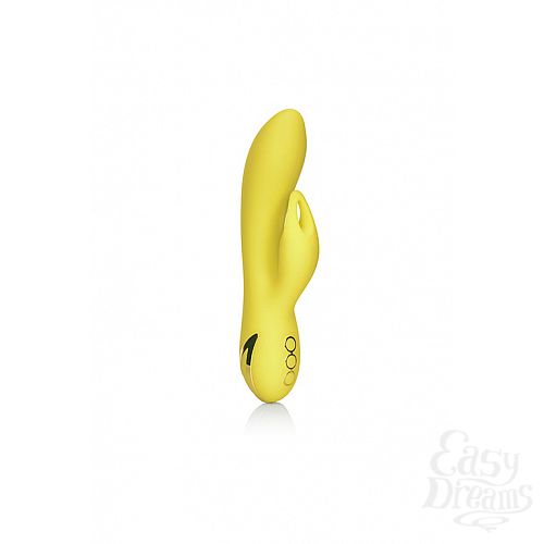  1:   Venice Vixen 18  