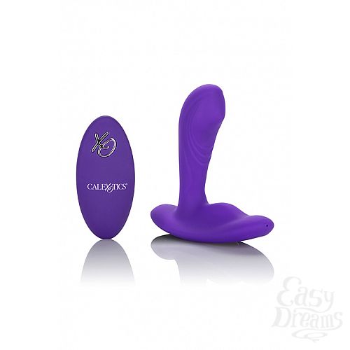  1:    Silicone Remote Pinpoint Pleaser 7,2  