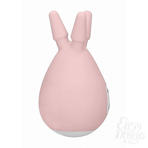  2    Luscious Pink SH-LOV020PNK