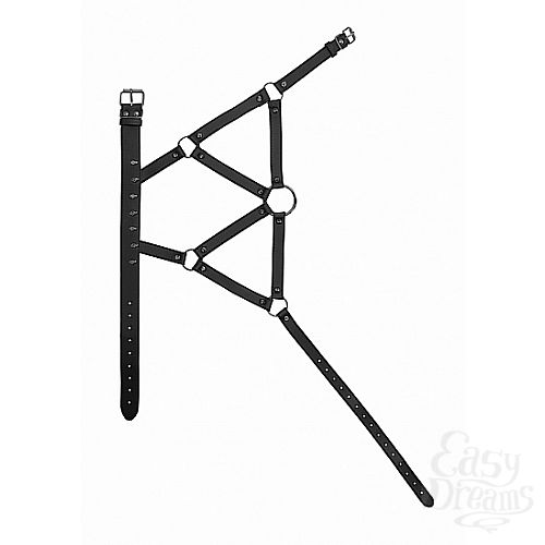 2   Ouch! Skulls and Bones Black SH-OU304BLK