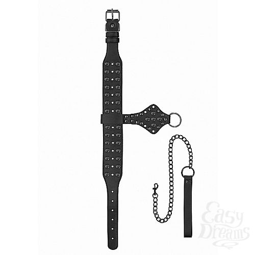  2     Ouch! Skulls and Bones SH-OU299BLK
