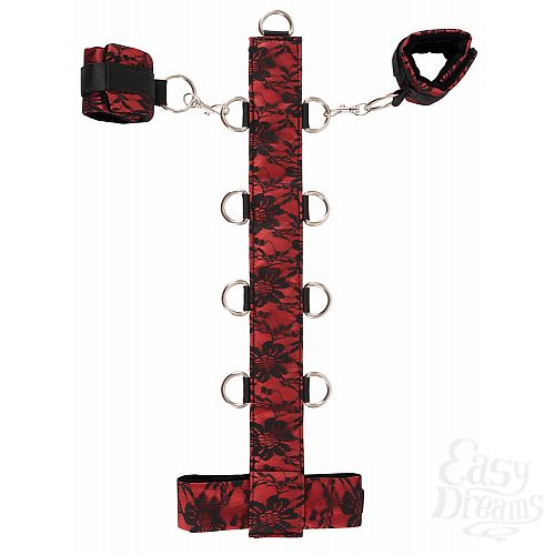  1:      Collar by Bad Kitty    