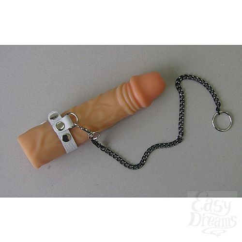 ���������� 1:  �������