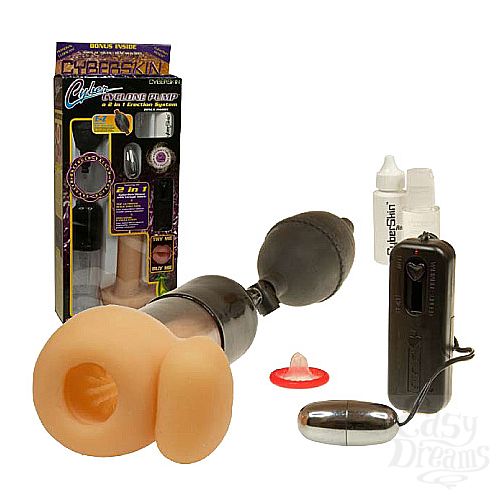 ���������� 1:  ��������� ����� + ����������� CYCLONE PUMP