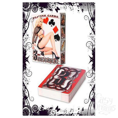 ���������� 1:  ��������� ����� 3-RD DEGREE EN-PC-4420-2