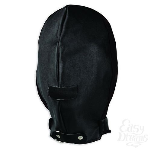 ���������� 2  ����� �� ������ � �������� LF6009