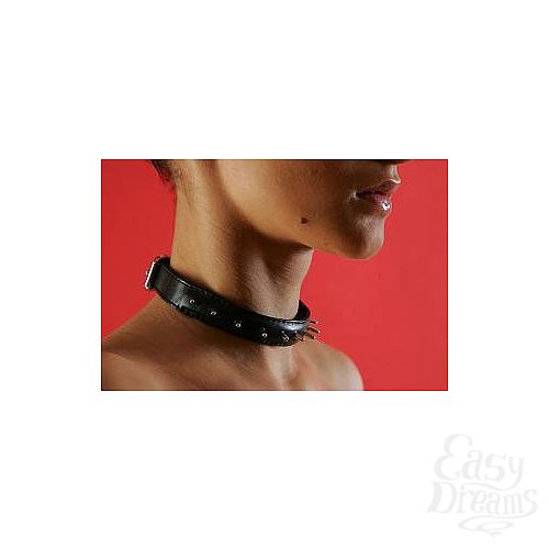 ���������� 1:  ������� ����� (������������)