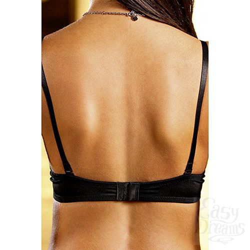 ���������� 3  Animal ����������� 36, DD, �����