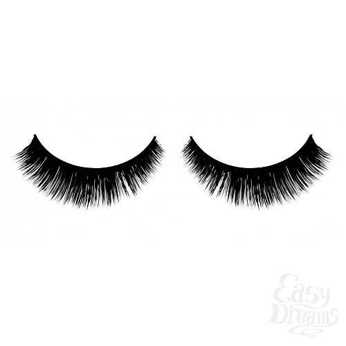 ���������� 1:  ������� ������ ��������� Premium