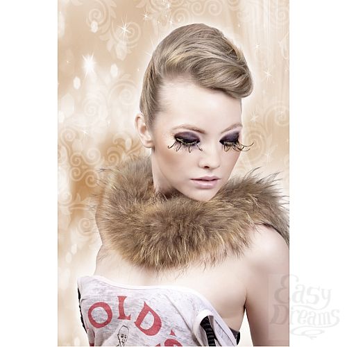 ���������� 2  ������� ���������-�������  �����