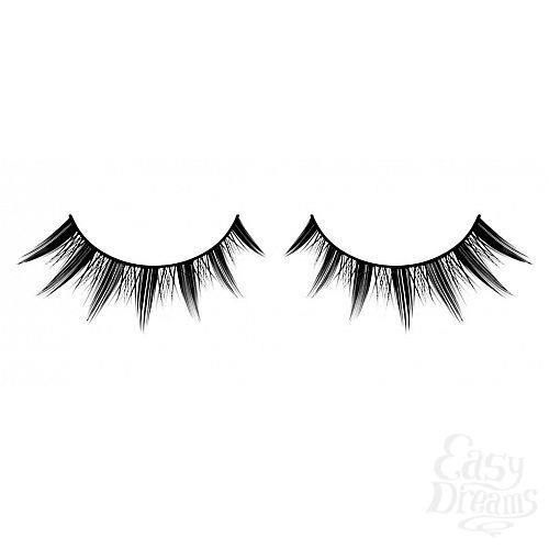 ���������� 1:  ������� ������ ��������� Premium