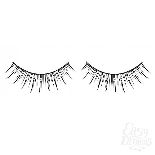 ���������� 1:  ������� ������ � �����������  ��������