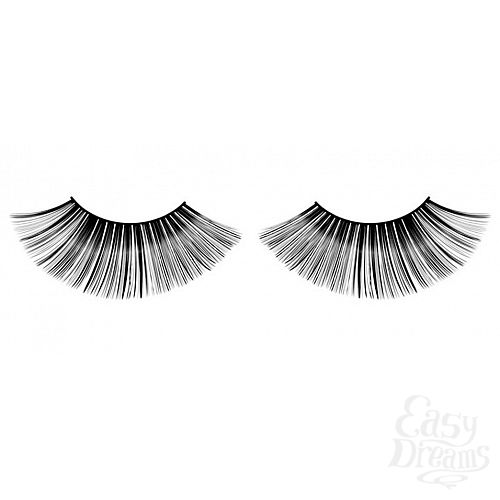 ���������� 1:  ������� ������ � ��������  ��������