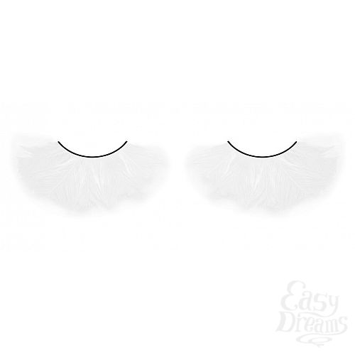 ���������� 1:  ������� �����  �����