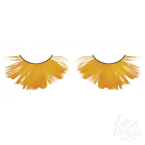 ���������� 1:  ������� ���������  �����