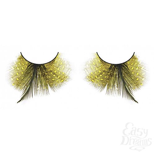 ���������� 1:  ������� �����  �����