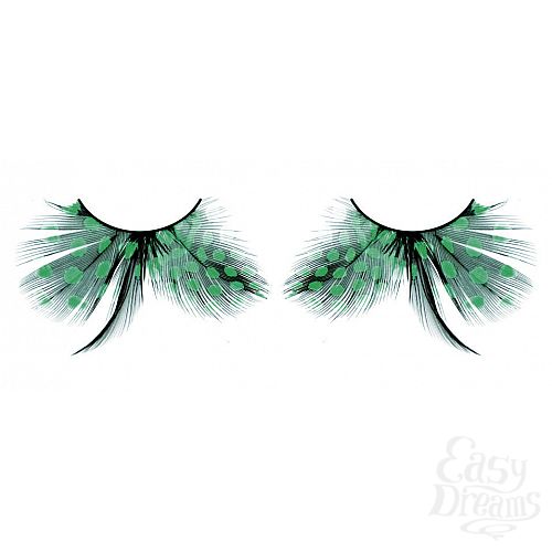 ���������� 1:  ������� ���������  �����