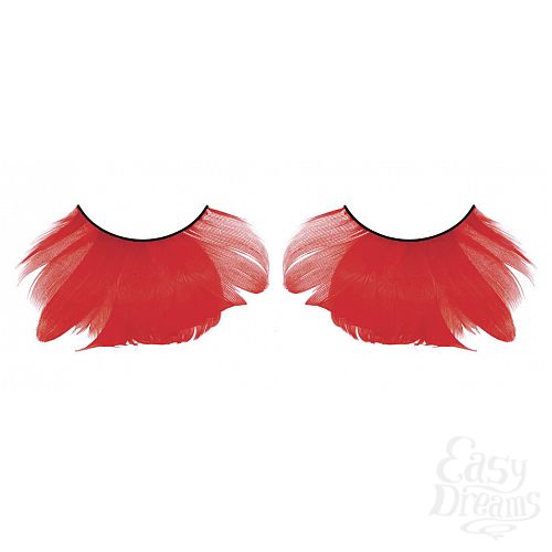 ���������� 1:  ������� �������  �����