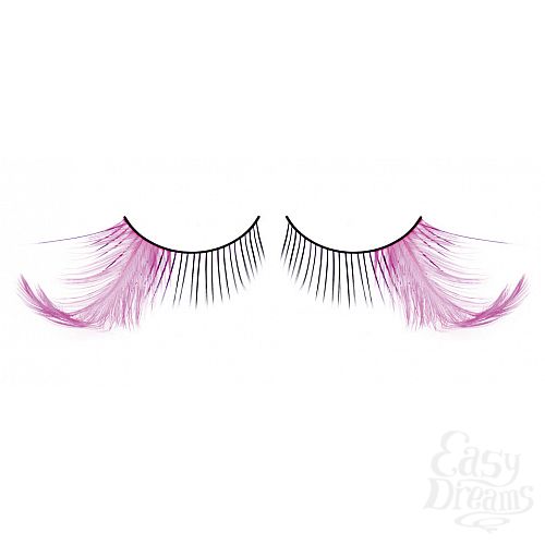 ���������� 1:  ������� ������-����������  �����