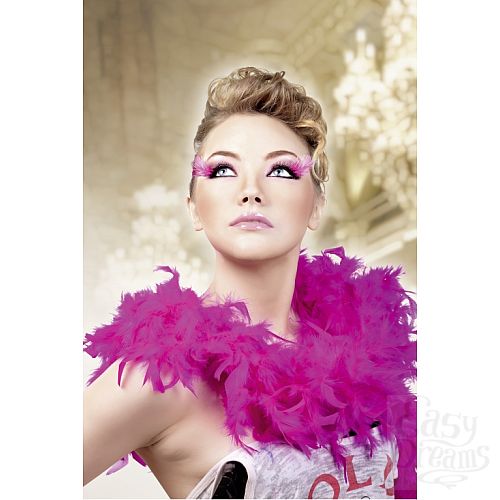 ���������� 2  ������� ������-����������  �����