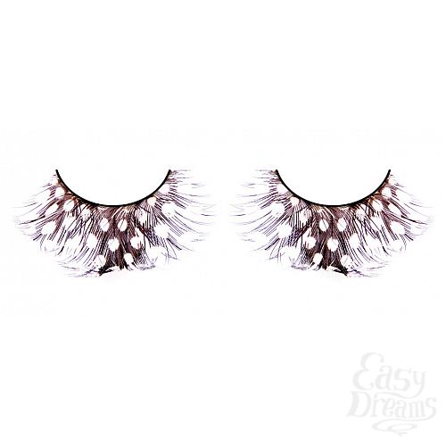 ���������� 1:  ������� ����������  �����