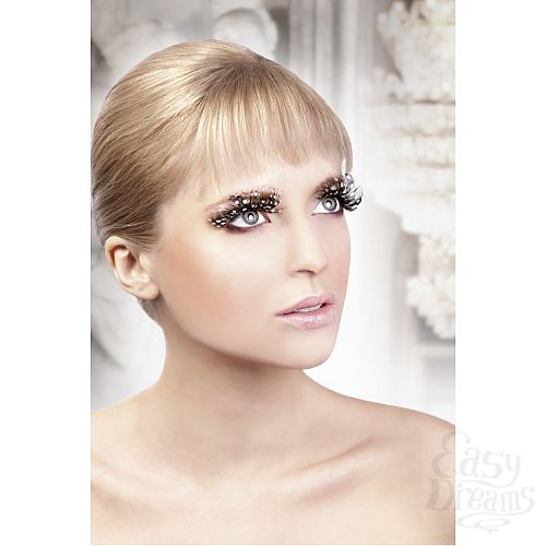 ���������� 2  ������� ����������  �����