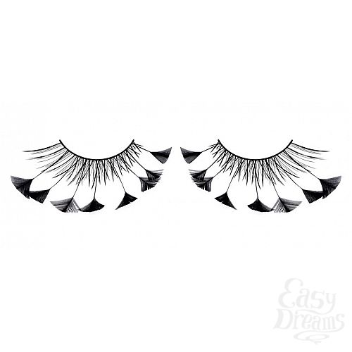 ���������� 1:  ������� ������  �����