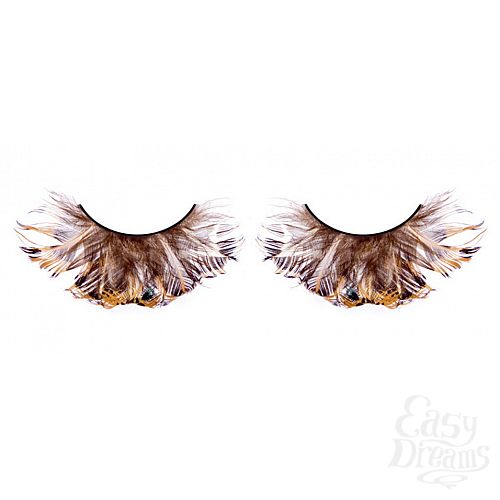 ���������� 1:  ������� ������  �����