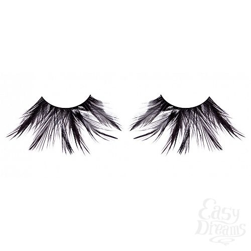 ���������� 1:  ������� ������  �����