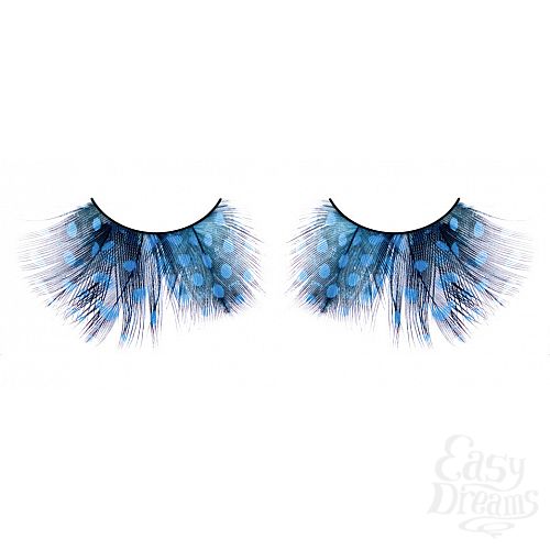 ���������� 1:  ������� �������  �����