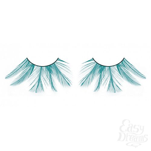 ���������� 1:  ������� �������  �����