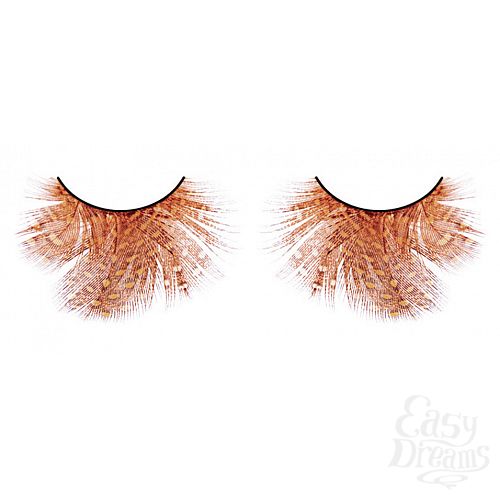 ���������� 1:  ������� ��������-�������  �����