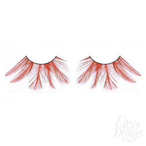 ���������� 1:  ������� �������  �����