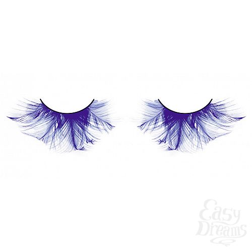 ���������� 1:  ������� �������  �����