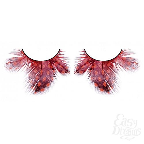 ���������� 1:  ������� ����-�������  �����