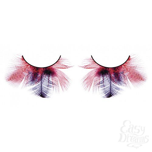 ���������� 1:  ������� ������-����������  �����