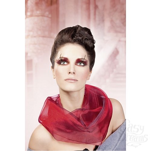 ���������� 2  ������� ������-����������  �����